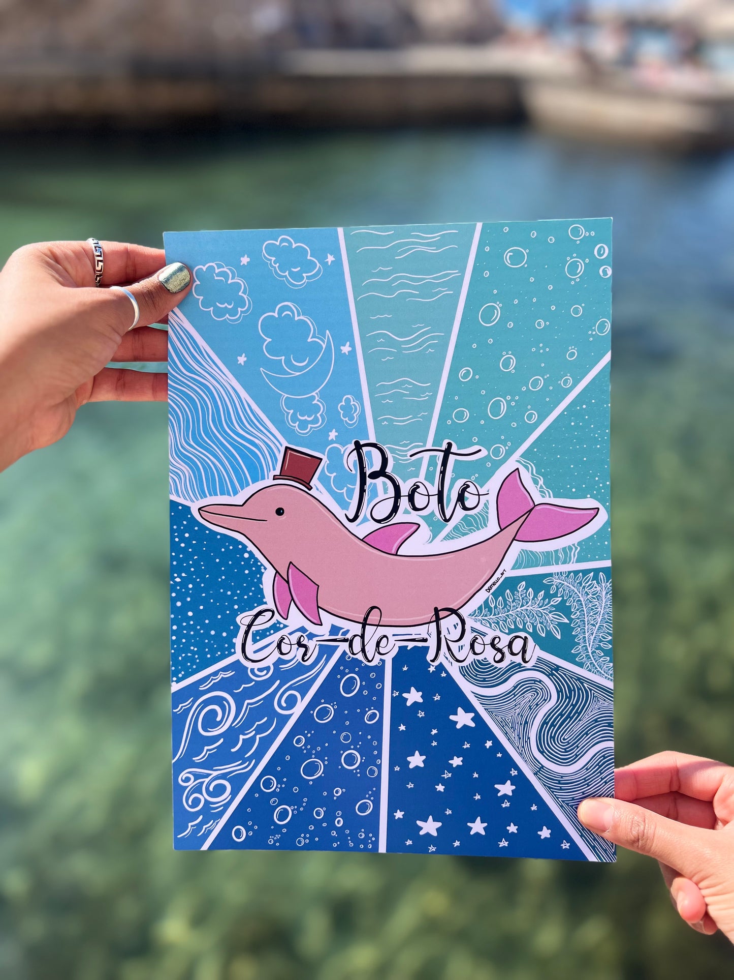 Boto Cor de Rosa - Affiche - Folklore Brésilien